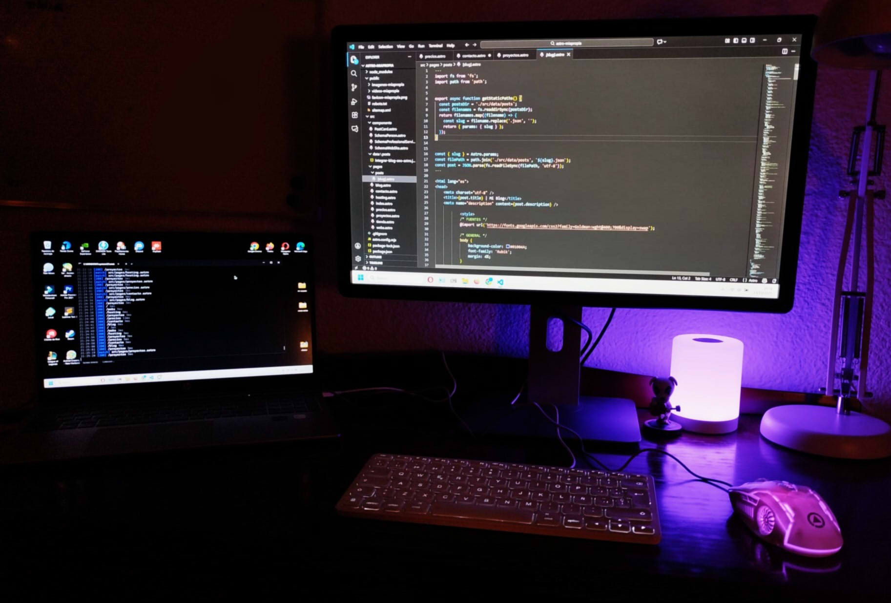 setup programación frontend