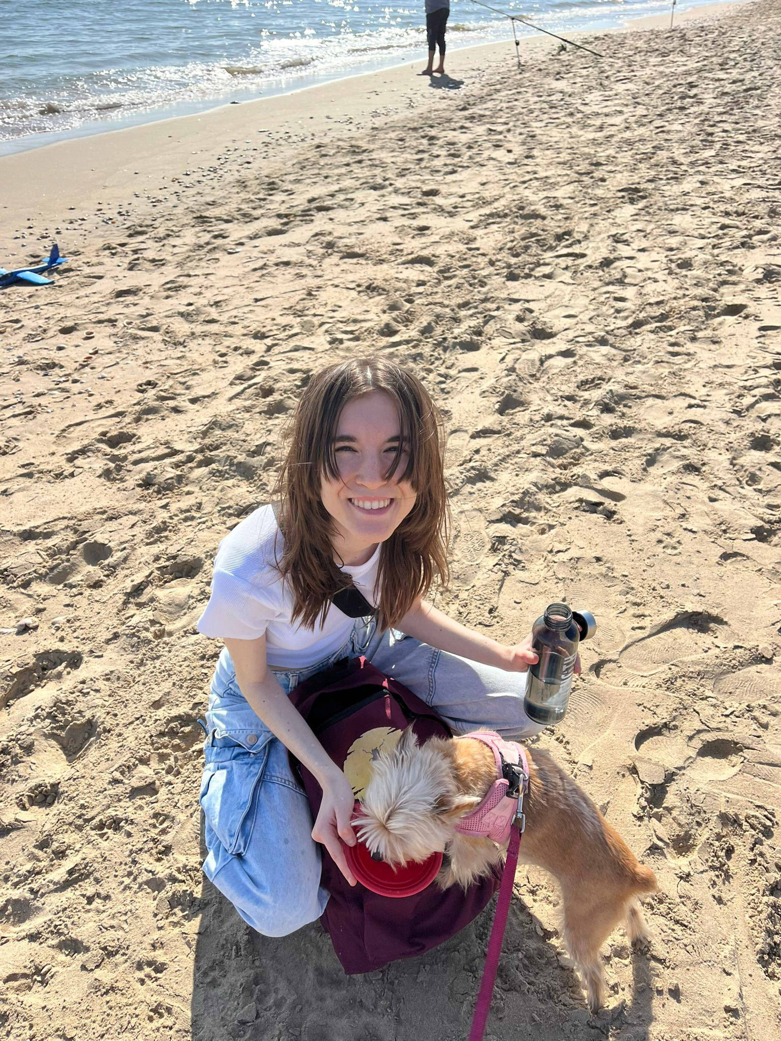 últimas noticias SEO web hosting